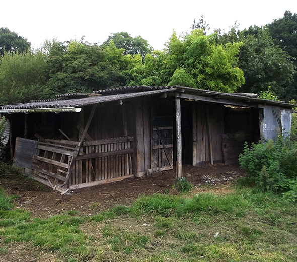 cabane, abris de jardin en toiture amiante